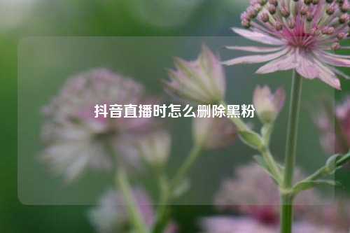 抖音直播时怎么删除黑粉