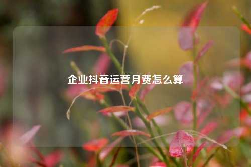 企业抖音运营月费怎么算