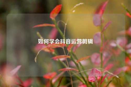 如何学会抖音运营剪辑