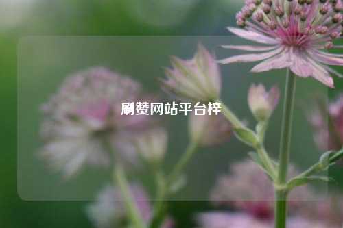 刷赞网站平台梓