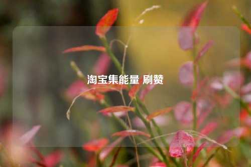 淘宝集能量 刷赞