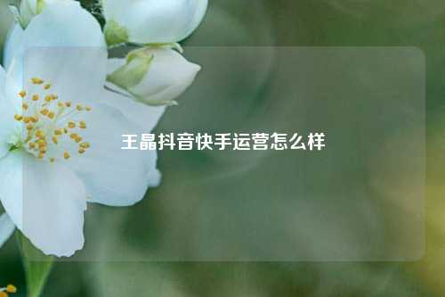 王晶抖音快手运营怎么样