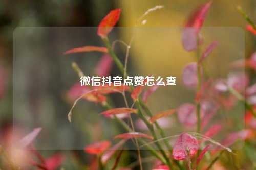 微信抖音点赞怎么查