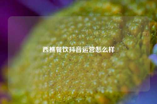 西樵餐饮抖音运营怎么样