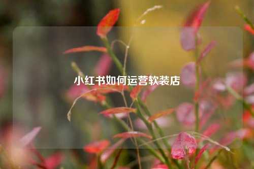小红书如何运营软装店