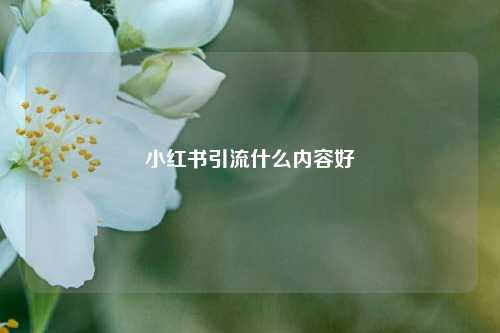 小红书引流什么内容好